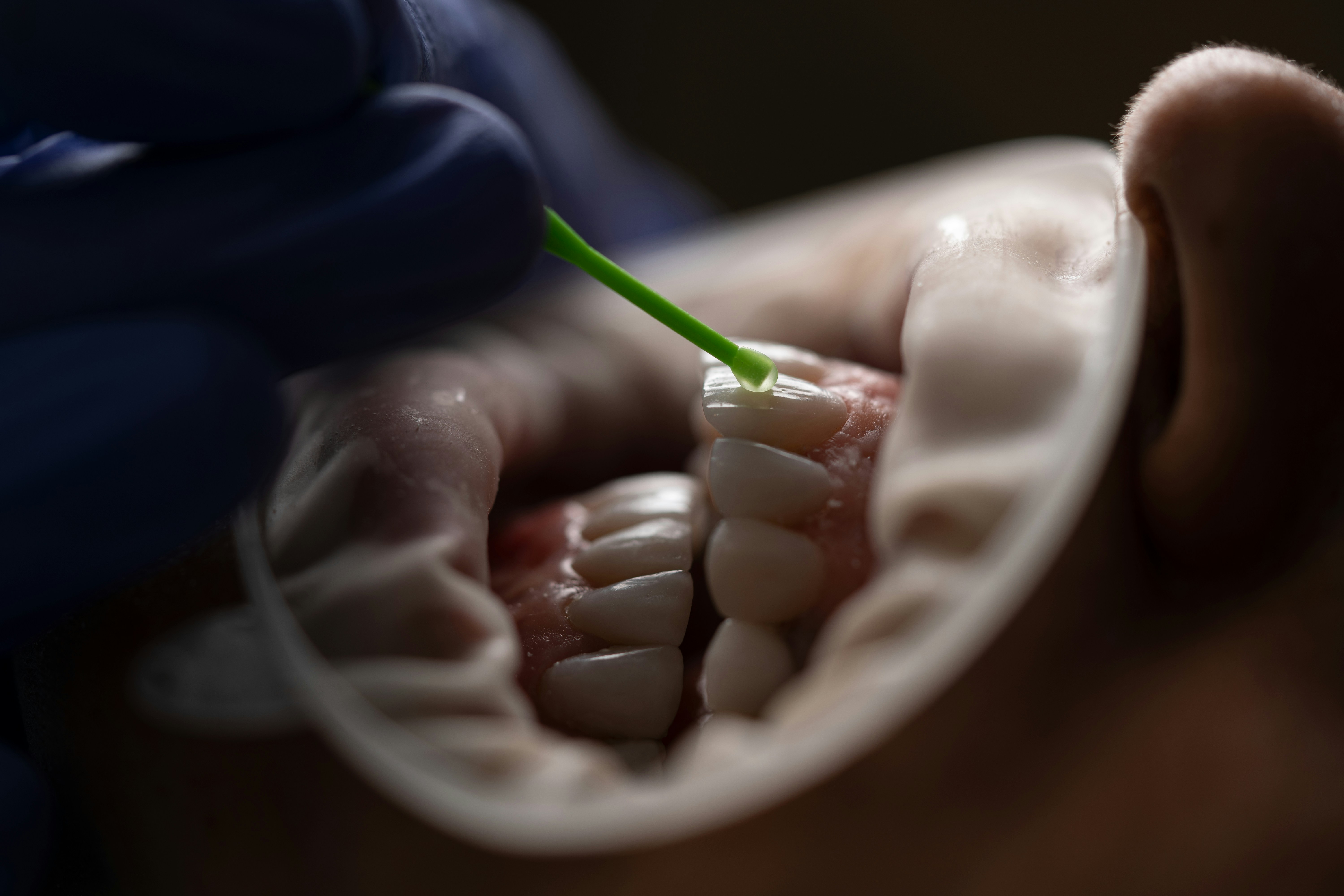 Periodontia